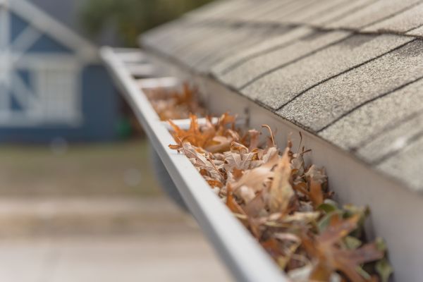 Leaf Barrier Installation in Knightdale