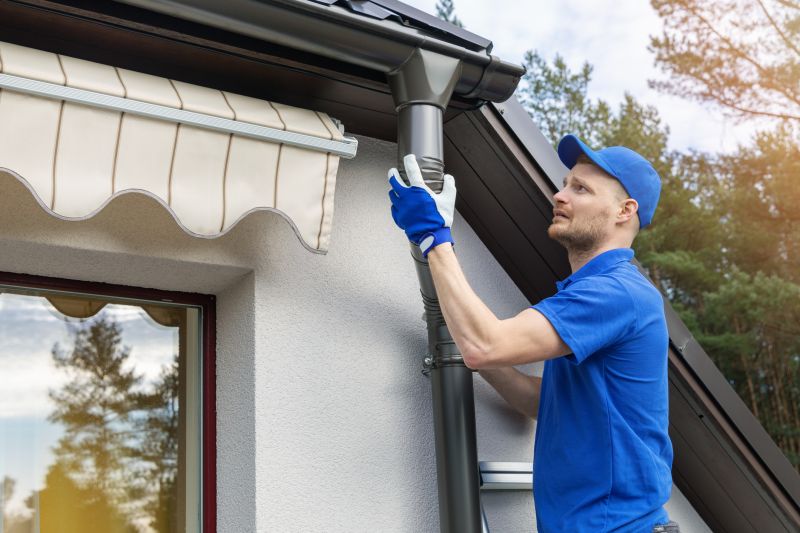 Gutter Maintenance Experts